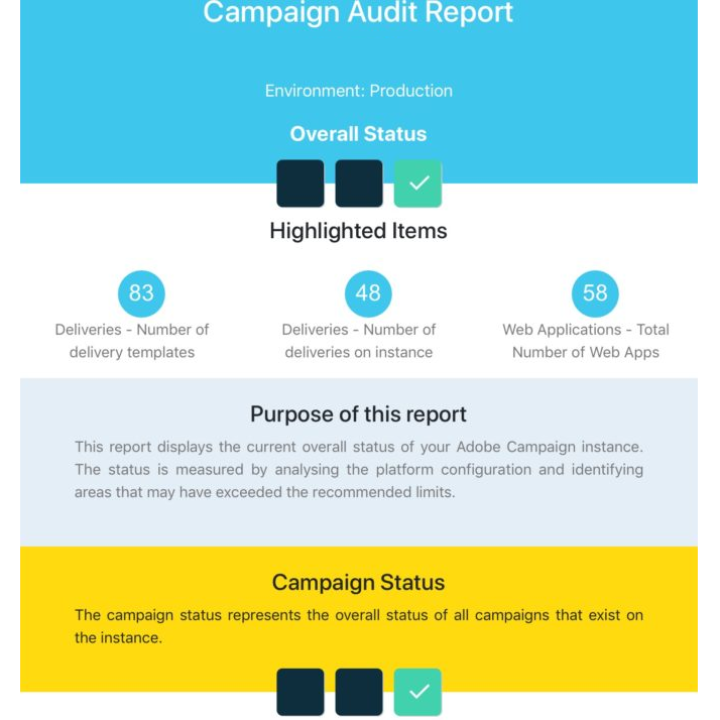 Campaign audit report